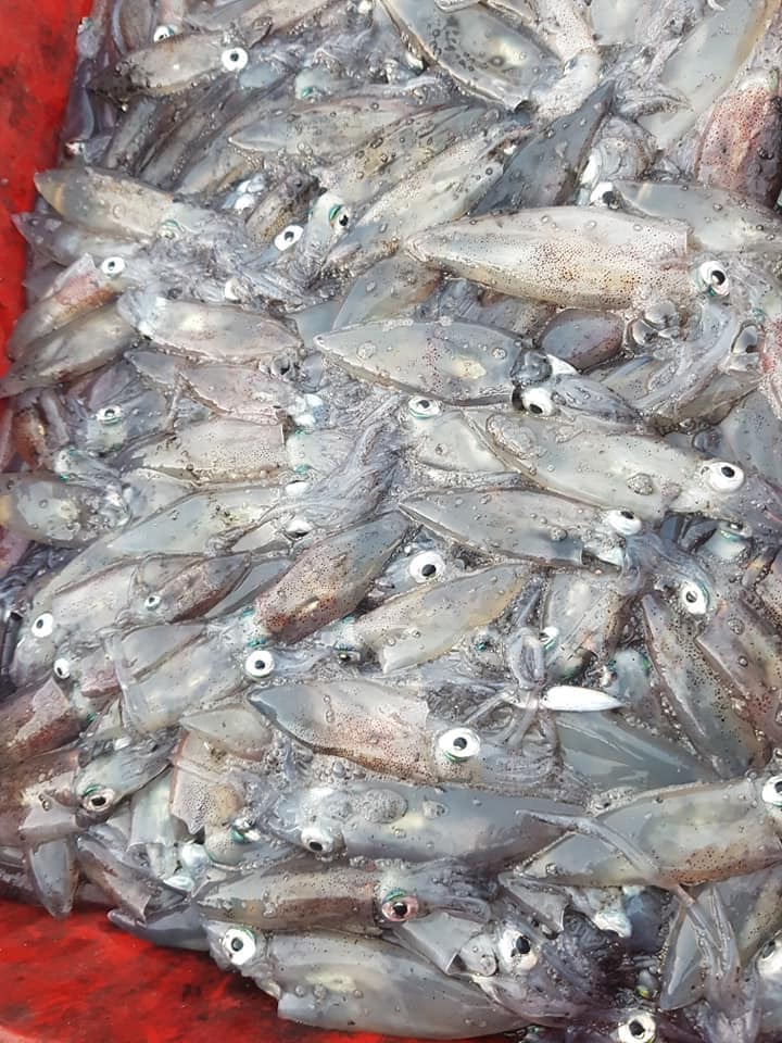 hải sản cù lao xanh quy nhơn